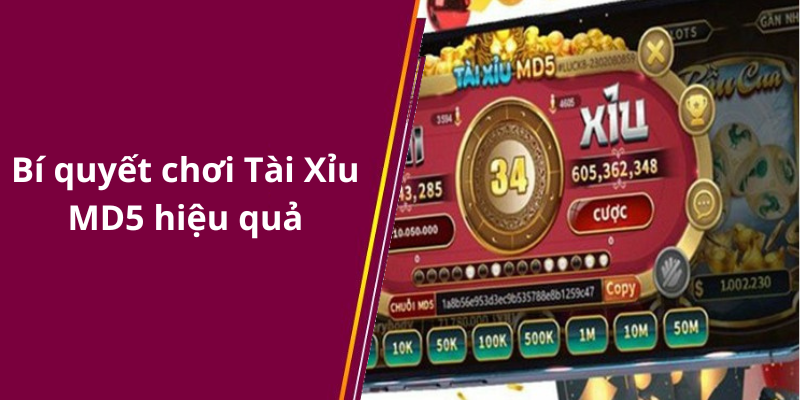 Bí quyết chơi Tài Xỉu MD5 hiệu quả