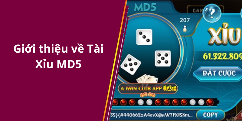 Giới thiệu về Tài Xỉu MD5