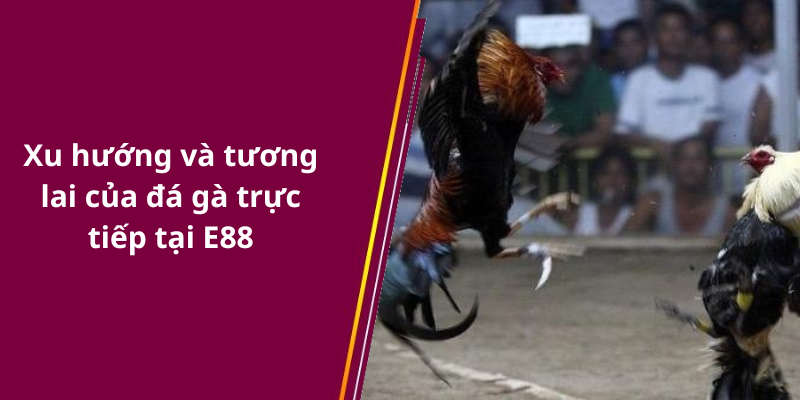 Xu hướng và tương lai của đá gà trực tiếp tại E88